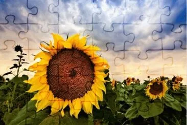 27 jigsaw puzzle