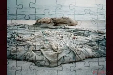 ? jigsaw puzzle