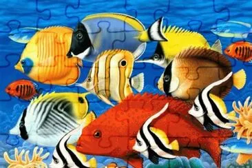 Under the Sea jigsaw puzzle