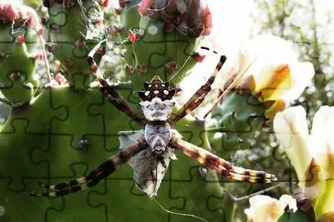 Spider and prey jigsaw puzzle