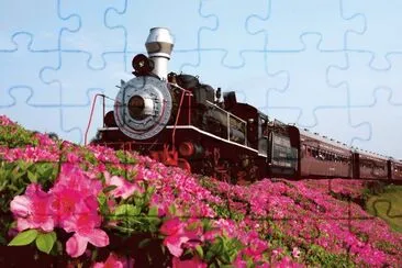 *-*- jigsaw puzzle