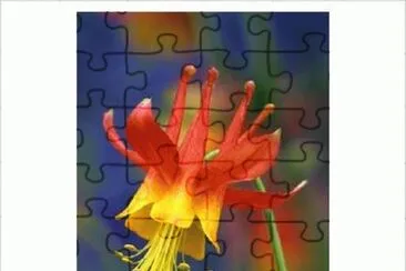 flower jigsaw puzzle