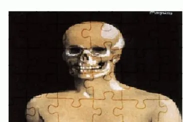 255 jigsaw puzzle