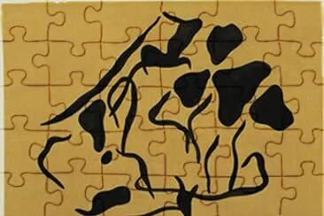 9 jigsaw puzzle