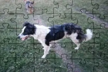 mi perra TESIS jigsaw puzzle