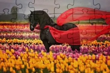 NÂº 485 jigsaw puzzle