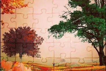 NÂº 486 jigsaw puzzle