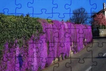 NÂº 489 jigsaw puzzle