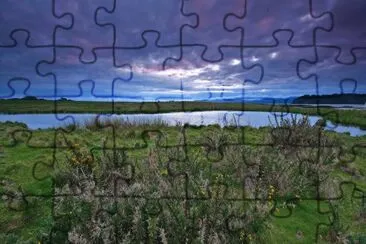 12 jigsaw puzzle