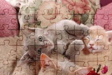 Gatinhos jigsaw puzzle