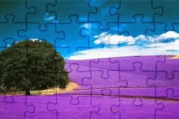 פאזל של PAISAJE CON LAVANDA