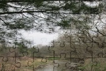 184 jigsaw puzzle