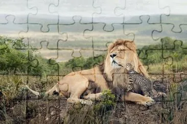 FELINOS jigsaw puzzle