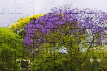 ParanÃ¡ jigsaw puzzle