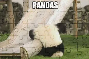 PANDA JUGUETON