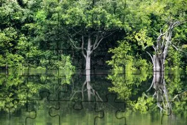 פאזל של AMAZÃ”NIA BRASIL