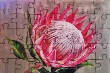 פאזל של Protea Painting