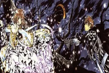 Tsubasa Reservoir Chronicle 14