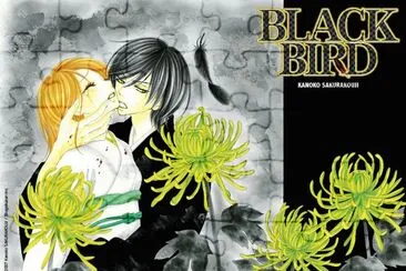 Black Bird 3