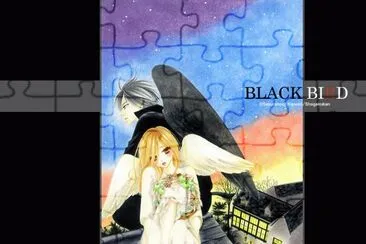 Black Bird 8 jigsaw puzzle