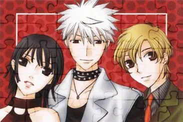 Fruits Basket 9