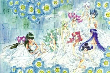 פאזל של Sailor Moon 9