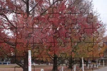 Campo de la Gloria in cloudy autumn