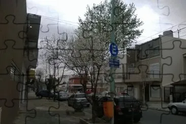 White and green trees