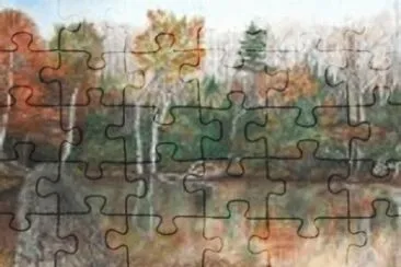 35 jigsaw puzzle