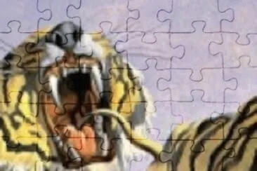 142 jigsaw puzzle