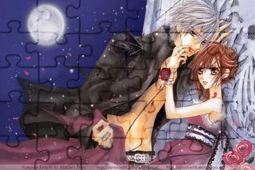 Vampire Knight 28