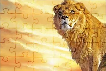 LeÃ³n jigsaw puzzle