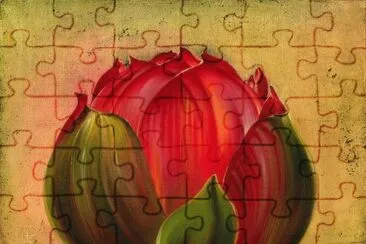 Lotus Bloom jigsaw puzzle