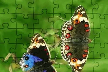 more of nature 's beauty jigsaw puzzle