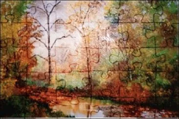 11 jigsaw puzzle