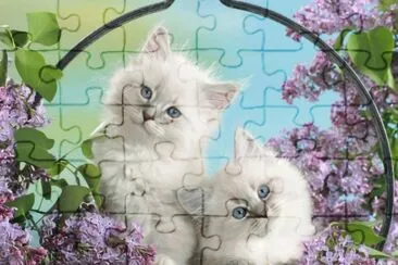 phoo y puterias jigsaw puzzle