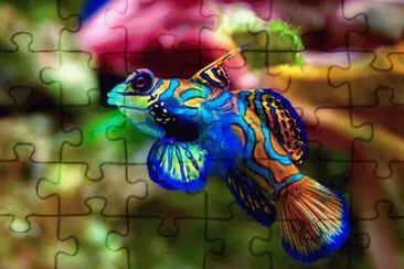 paisaje jigsaw puzzle