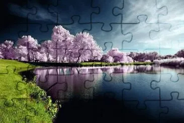 paisaje jigsaw puzzle