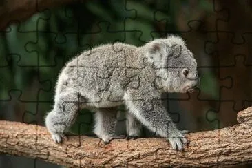 . jigsaw puzzle