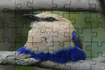 . jigsaw puzzle