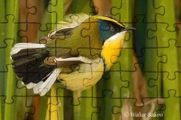 . jigsaw puzzle