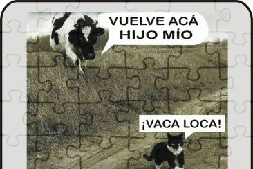 VACA LOCA.