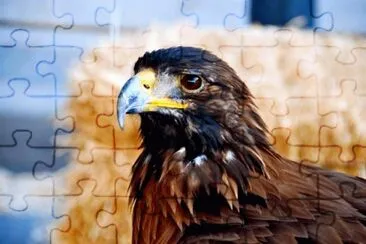 ÃGUILA MEXICANA. jigsaw puzzle