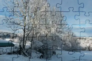 Hiver jigsaw puzzle