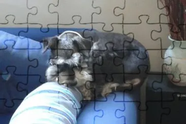 chat9 jigsaw puzzle