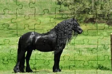 paisajes jigsaw puzzle