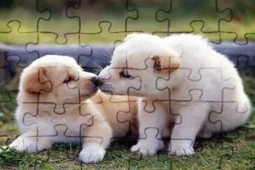 paisajes jigsaw puzzle