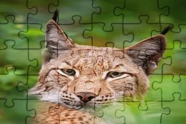 . jigsaw puzzle