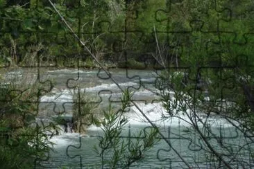 Rio Guayalejo jigsaw puzzle