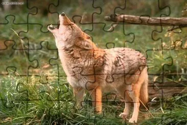 paisajes jigsaw puzzle